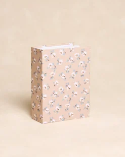 Album photo de fleurs de bellaria-Polin et moi Discount